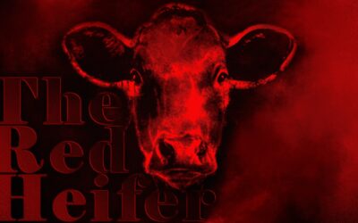 Laws, Legends, and the Lasting Enigma of the Red Heifer